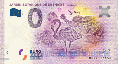 UEJC-2020-2 JARDIN BOTANIQUE DE DESHAIES GUADELOUPE